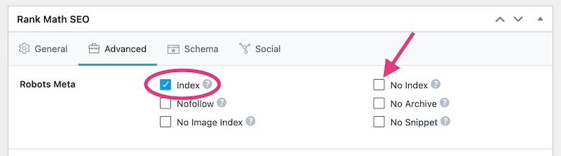 article noindex