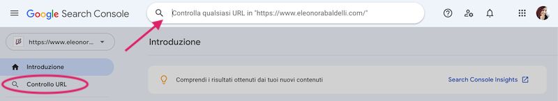 le site apparaît sur google