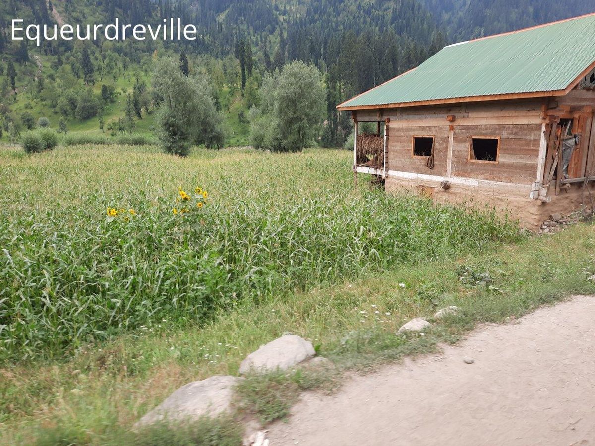 Cabane rustique et champ verdoyant : une halte authentique des villages voisins d'Équeurdreville.