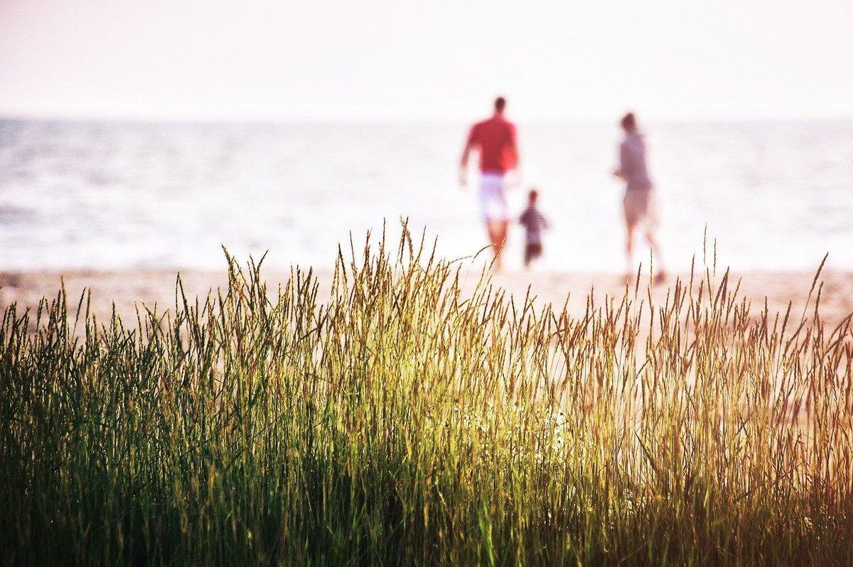 Journée en famille à la plage : détente en harmonie avec la nature à Équeurdreville.