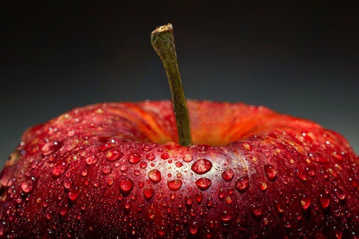 Pomme éclatante : parfaite pour les desserts traditionnels d'Équeurdreville.