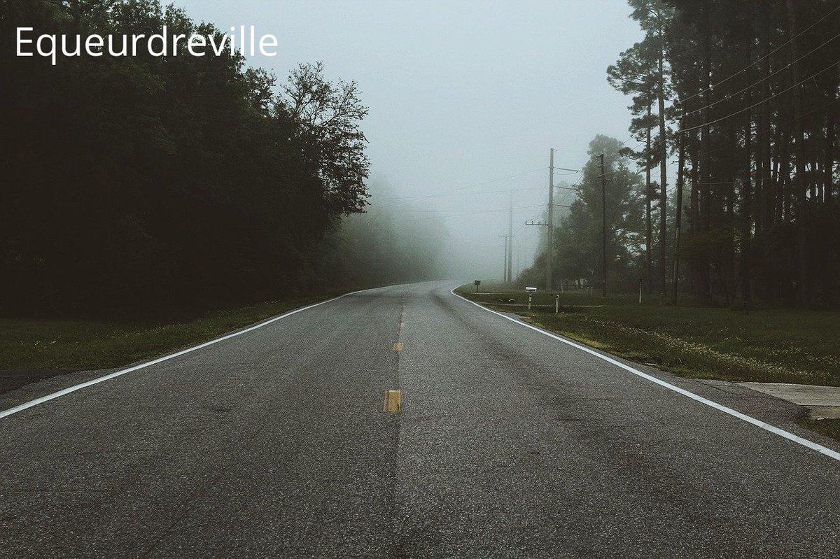 Trouver sa voie dans la brume demande clarté et détermination.