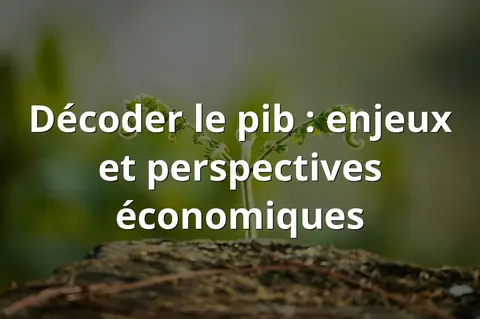 Décoder le pib : enjeux et perspectives économiques