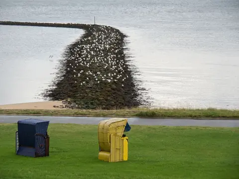 Exposition Voyages à Cherbourg : 28 artistes, entrée gratuite jusqu’au 3 octobre 2026