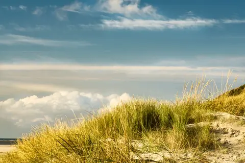 Dunes de Biville : grandes randonnées et paysages de la Hague