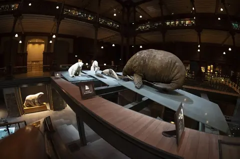 Guide complet des musées et galeries d'art d'Équeurdreville : trésors culturels du Cotentin