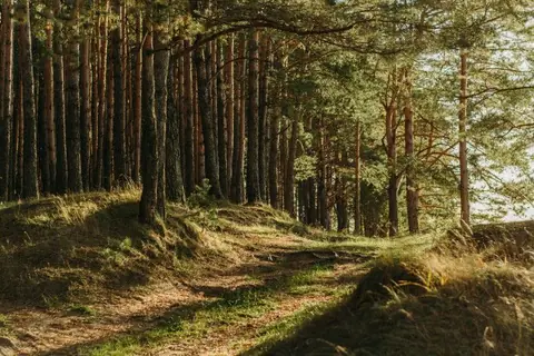 Le Bocage