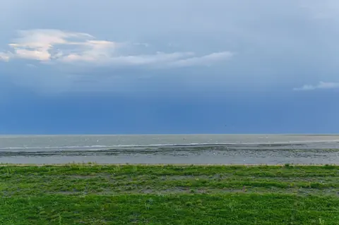 Baie des Veys : randonnée, marées et réserve de Beauguillot